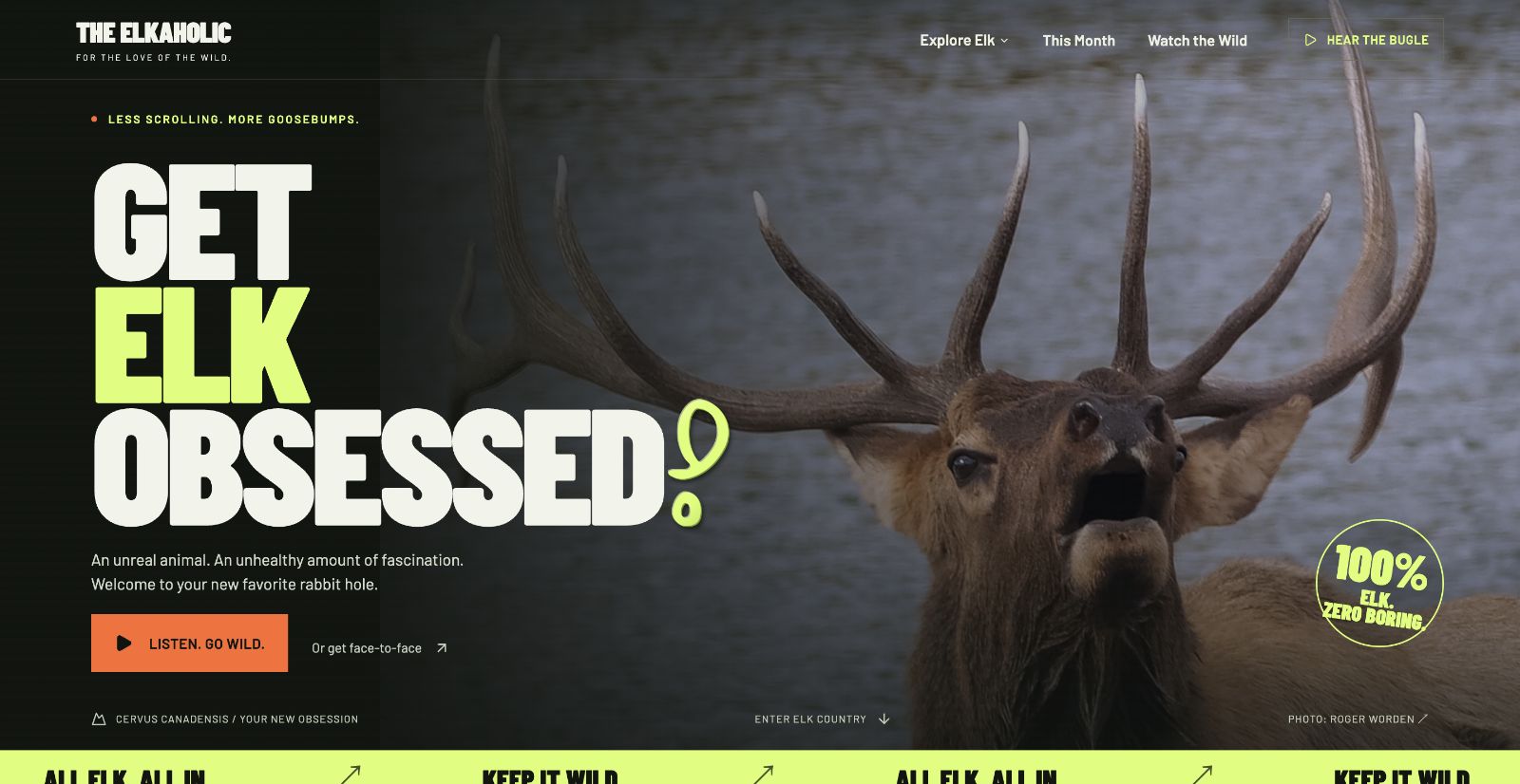 Current The Elkaholic homepage with a bugling bull elk and the message Get Elk Obsessed.